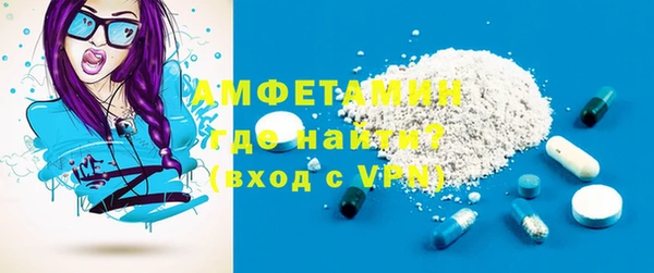 шишки Инсар