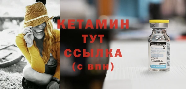 шишки Инсар