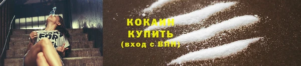 шишки Инсар