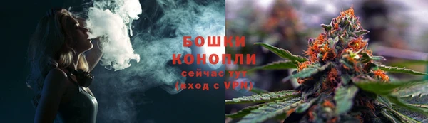 шишки Инсар