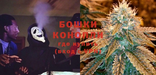 шишки Инсар
