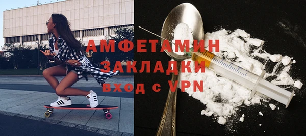 шишки Инсар