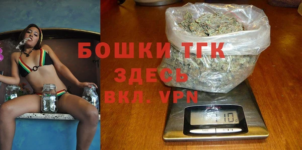 шишки Инсар