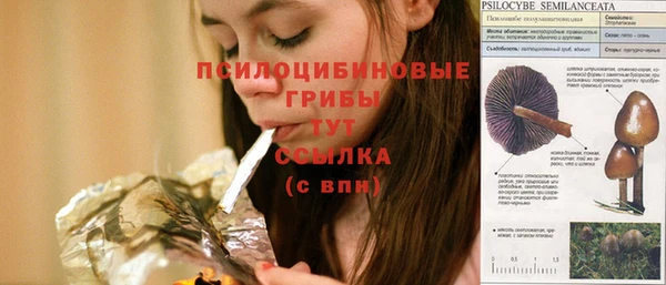 круглые Каменногорск