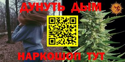 apvp Обь