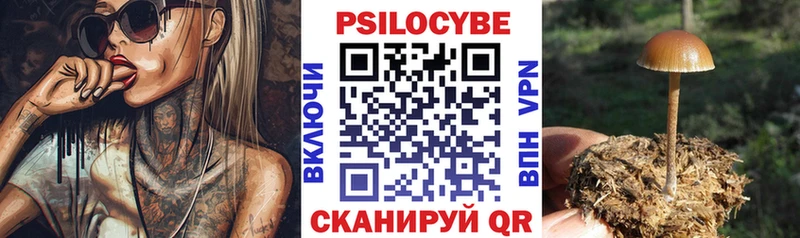 сколько стоит  Усть-Лабинск  Галлюциногенные грибы Psilocybe 