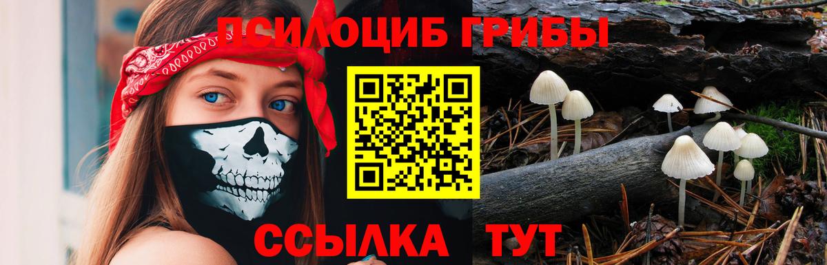Усть-Лабинск  Псилоцибиновые грибы Magic Shrooms  Вход с VPN  Галлюциногенные грибы Psilocybe 