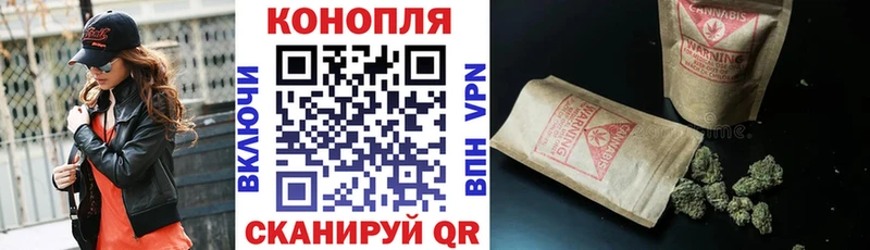 дарнет шоп  Усть-Лабинск  Канабис OG Kush 